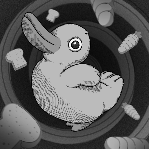 Duck Rabbit