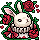 Rare White Rabbit of Hearts
