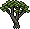 Icon Acacia