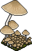nft_eco_mush1 nft_eco_mush1