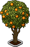 nft_eco_tree1 name nft_eco_tree1 name