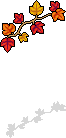 ducket_c25_autumndecor name